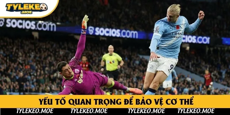 Yếu tố quan trọng để bảo vệ cơ thể