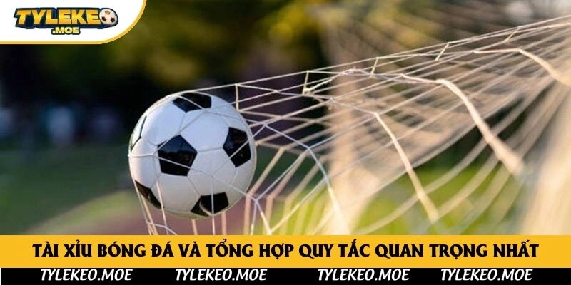 Tài Xỉu Bóng Đá Và Tổng Hợp Quy Tắc Quan Trọng Nhất