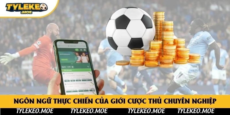 Ngôn ngữ thực chiến của giới cược thủ chuyên nghiệp